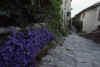 France 97 Vaison La Romaine.jpg (209046 bytes)