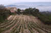 France 99 Bonnieux Vineyard Mist.jpg (228161 bytes)