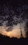 France 99 Eiffel Tower Sunset.jpg (165691 bytes)