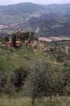 Italy 99 Tuscan HIlls.jpg (293956 bytes)