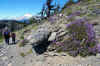 Lookout Mtn.JPG (510600 bytes)