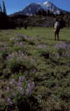 Me Mt Adams Bpack with Kevin.jpg (215686 bytes)
