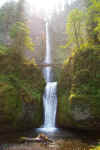 Multnomah Falls.JPG (307546 bytes)