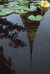 WT 124-21 Thailand Lotus Reflection.jpg (80300 bytes)