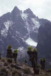WT 221-25 Kenya Diamond Glacier.jpg (107831 bytes)