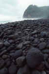 WT T06-22 Hawaii Pololu.jpg (113445 bytes)