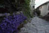 France 97 Vaison La Romaine.jpg (145109 bytes)