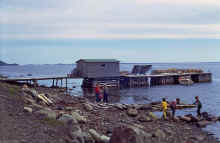 1968-06_JL_Blilie_Family_503_Newfoundland_Trip_Little_Burnt_Bay.jpg (2149059 bytes)