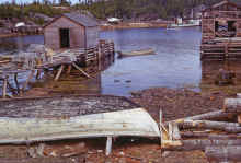 1968-06_JL_Blilie_Family_505_Newfoundland_Trip_Little_Burnt_Bay.jpg (2936826 bytes)