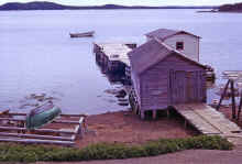 1968-06_JL_Blilie_Family_506_Newfoundland_Trip_Little_Burnt_Bay.jpg (2395396 bytes)