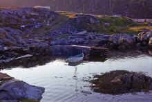 1968-06_JL_Blilie_Family_532_Newfoundland_Trip_Port_aux_Basques_Harbor.jpg (2110535 bytes)