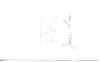 Julie_Louis_Blilie_393_Fry_St_circa_1931_028B.jpg (68240 bytes)