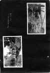 1922_circa_Mary_Cleves_Norwood_Album_009.jpg (1312763 bytes)