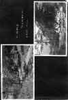 1922_circa_Mary_Cleves_Norwood_Album_011.jpg (1387975 bytes)