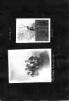 1922_circa_Mary_Cleves_Norwood_Album_037.jpg (1173112 bytes)