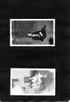 1922_circa_Mary_Cleves_Norwood_Album_049.jpg (1251636 bytes)