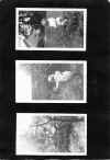 1922_circa_Mary_Cleves_Norwood_Album_050.jpg (1202369 bytes)