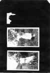 1922_circa_Mary_Cleves_Norwood_Album_054.jpg (1267549 bytes)