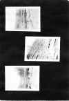 1922_circa_Mary_Cleves_Norwood_Album_072.jpg (1137419 bytes)