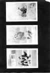 1922_circa_Mary_Cleves_Norwood_Album_080.jpg (1054049 bytes)