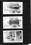 1922_circa_Mary_Cleves_Norwood_Album_081.jpg (1102263 bytes)