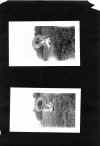 1922_circa_Mary_Cleves_Norwood_Album_084.jpg (1051054 bytes)