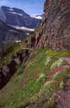 Glacier NP Aug-1990 Iceberg Lake Hike.jpg (393488 bytes)