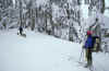1995-01 Skiing Near Swauk Pass w Jeanne and Steve Mason 01.jpg (181235 bytes)