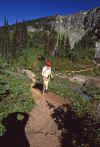 1998-07 Tolmie Pk Mt Rainier NP 01.jpg (266577 bytes)