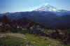 1998-07 Tolmie Pk Mt Rainier NP 09.jpg (170370 bytes)