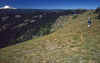 1994-08 Taneum Ridge with Mark and Liz 02.jpg (272145 bytes)
