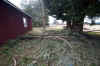 20120331-_KAB3497.jpg (169943 bytes)