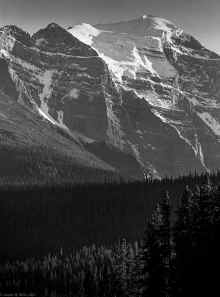1981-09 Canadian Rockies 100.jpg (442224 bytes)