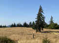 IMG_4752_60.jpg (437635 bytes)