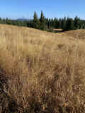 IMG_4802_60.jpg (1160744 bytes)