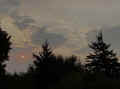 IMG_E4781_60.jpg (225520 bytes)