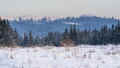 PC031448_40.jpg (312893 bytes)
