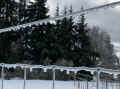 IMG_5417_60.jpg (312751 bytes)
