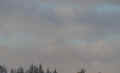 PC061457_40.jpg (75824 bytes)