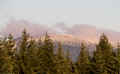 PC121489_40.jpg (248575 bytes)
