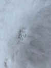 IMG_5758_80.jpg (355487 bytes)