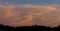 P6050725_60.jpg (168131 bytes)