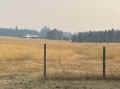 IMG_6694_60.jpg (336477 bytes)