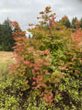 IMG_6862_60.jpg (907606 bytes)