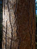 PB200709_60.jpg (1017646 bytes)