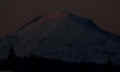 PB230856_60.jpg (179336 bytes)