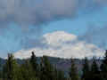 PC080996_60.jpg (430499 bytes)