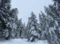 IMG_7867_60.jpg (692686 bytes)