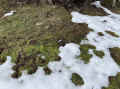 IMG_8034_60.jpg (1091610 bytes)