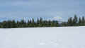 P2011294_60.jpg (270236 bytes)